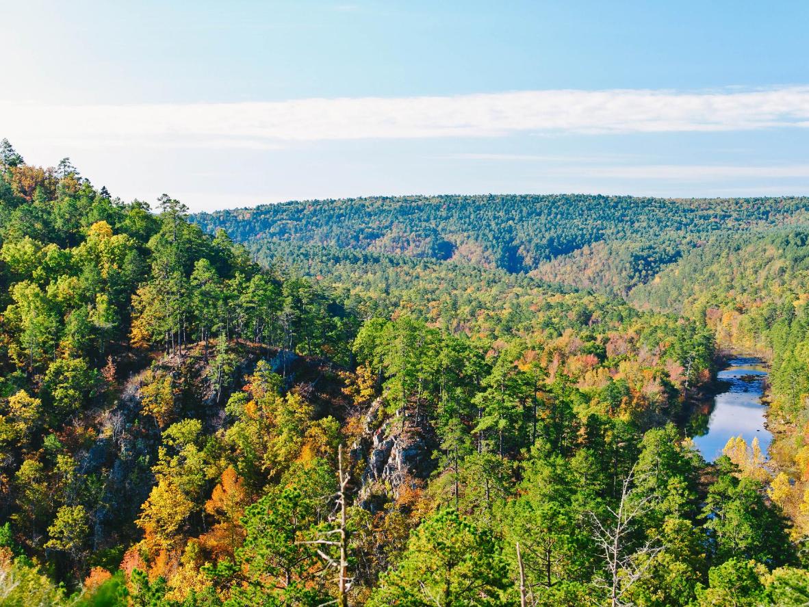 Expect impeccable views of the forest and riverlands from Pinnacle Mountain