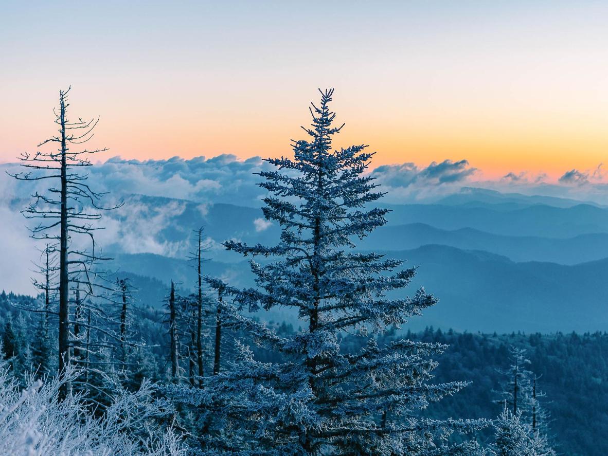 The snow-covered pines look incandescent backed by the Blue Ridge Mountains
