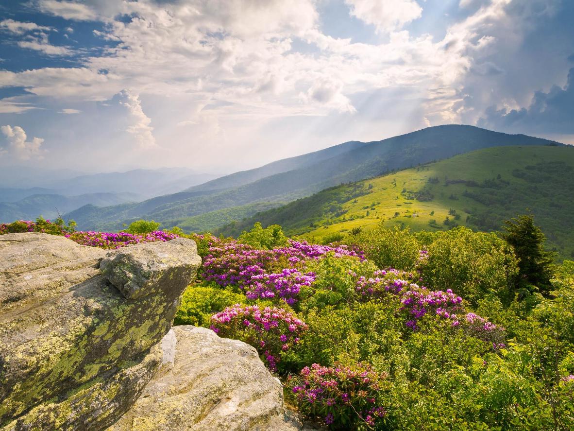 For the daring, try hiking the Appalachian Trail