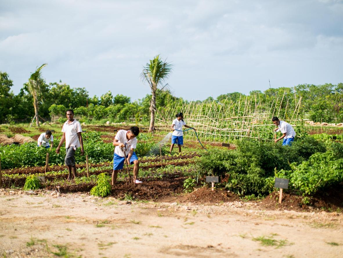 This luxury eco-resort promotes responsible tourism