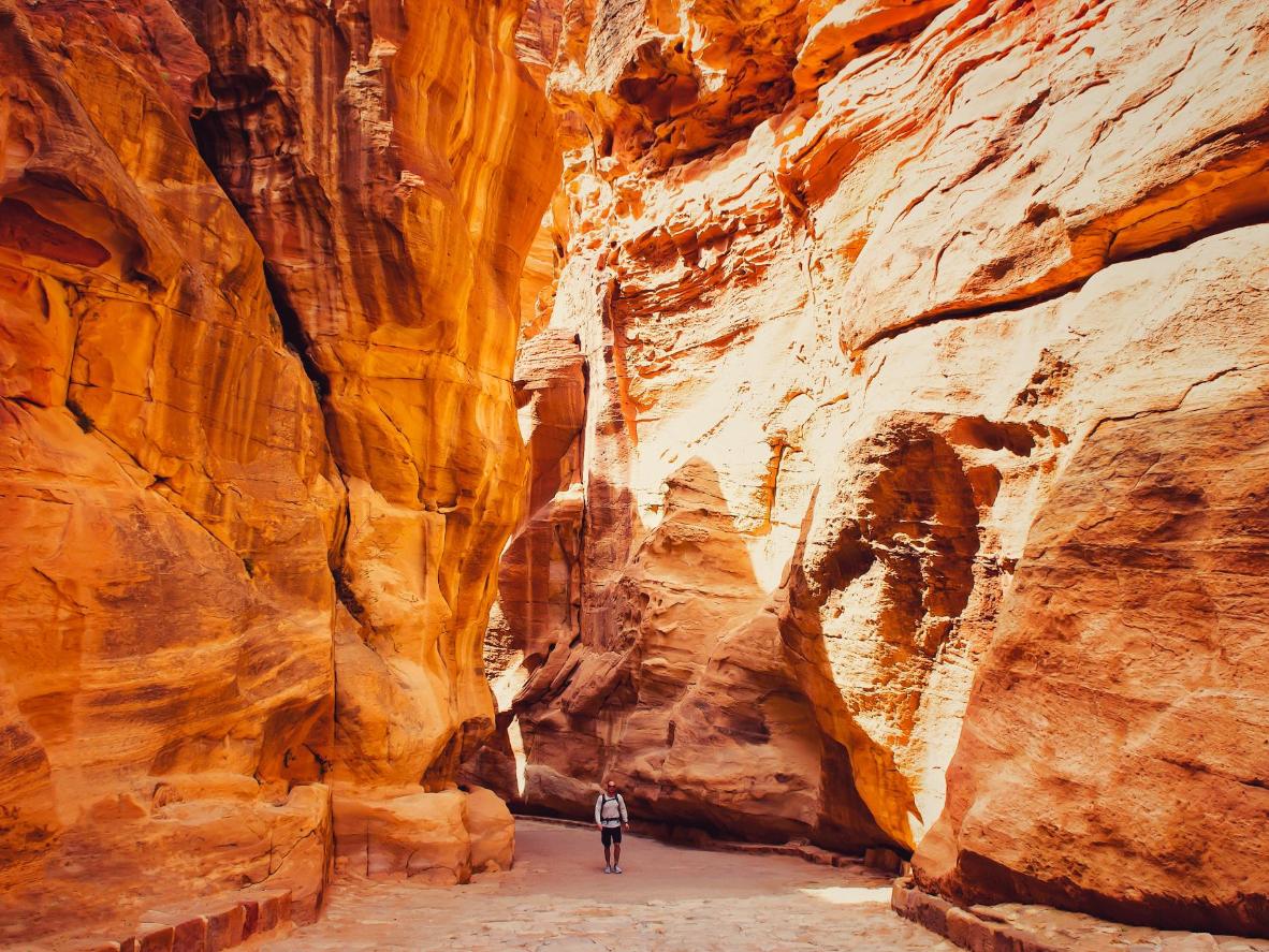 Catch a rare glimpse of nature along the Jordan Trail