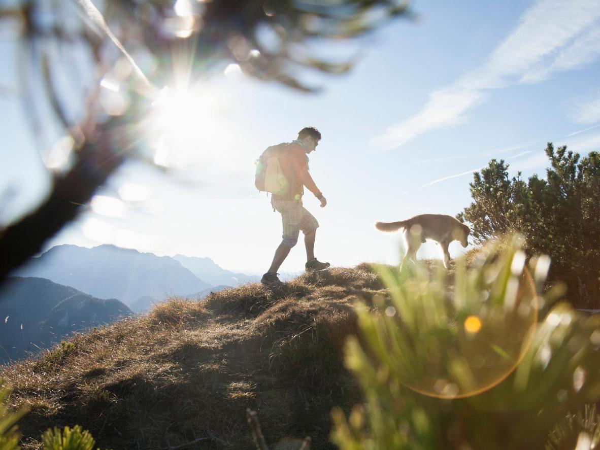 Erkunden Sie die Wanderwege zusammen mit Ihrem Hund
