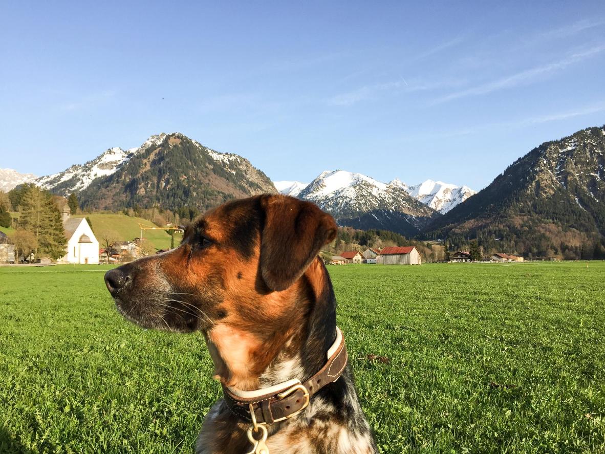 Oberstdorf ist ein Wanderparadies in den wärmeren Monaten