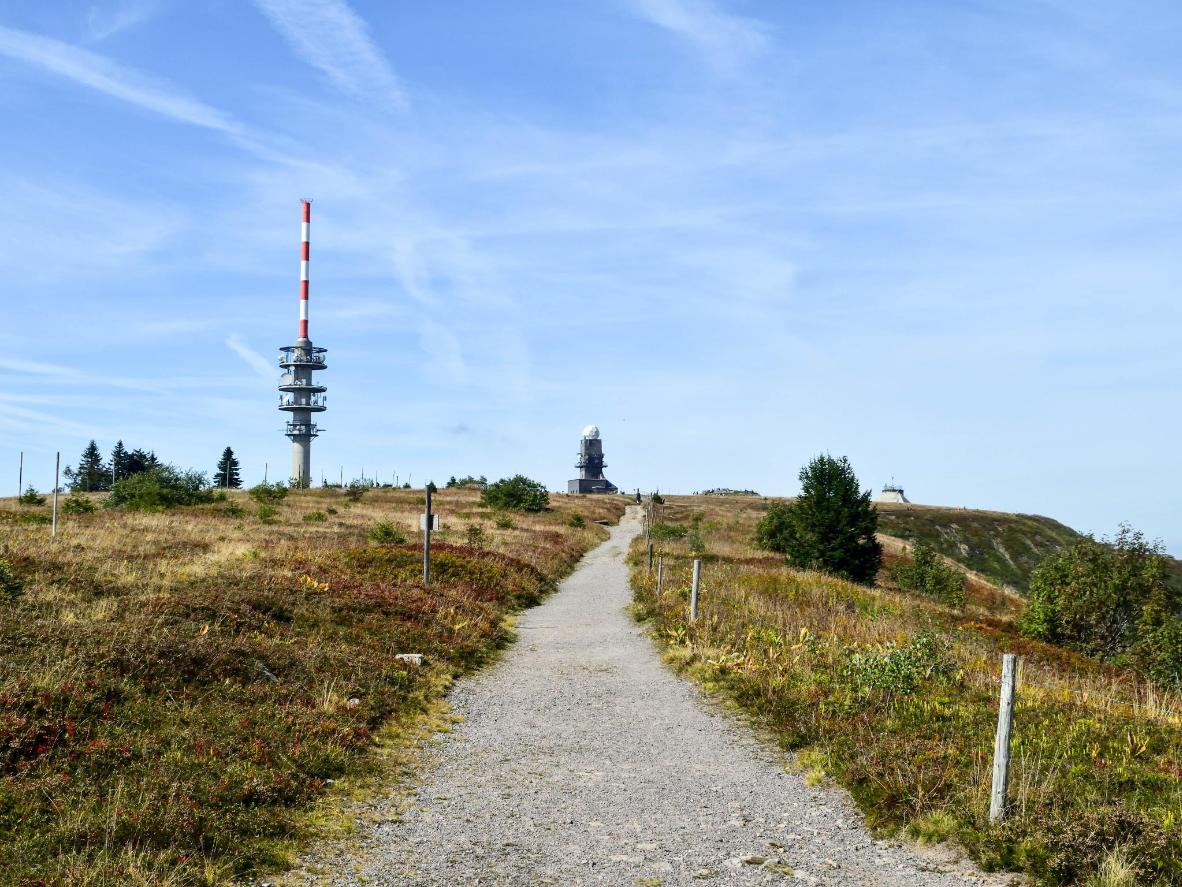 Vom Feldbergturm aus den Blick über den Schwarzwald schweifen lassen