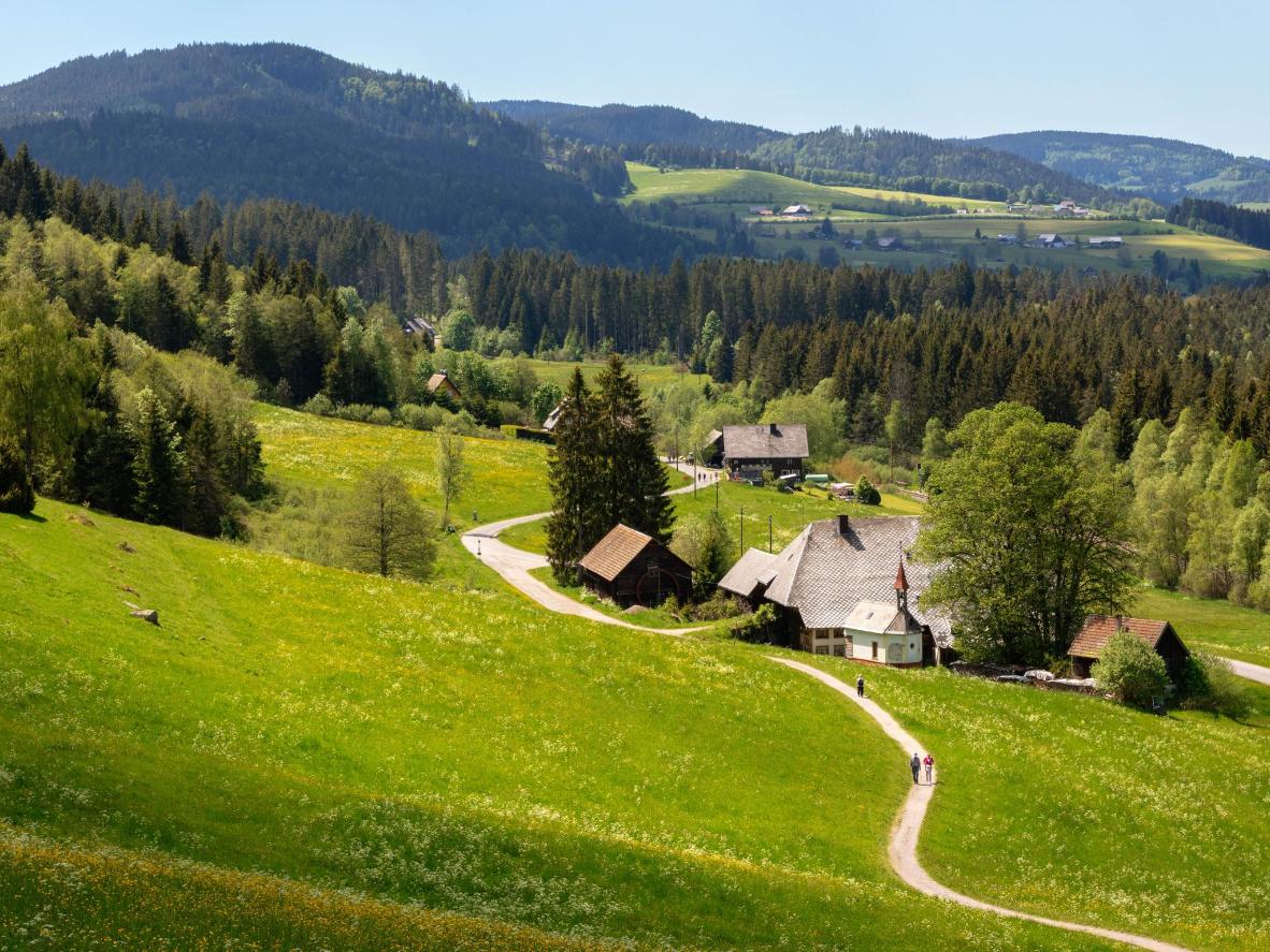 Die einzigartige Natur in Hinterzarten lässt sich am besten wandernd erkunden