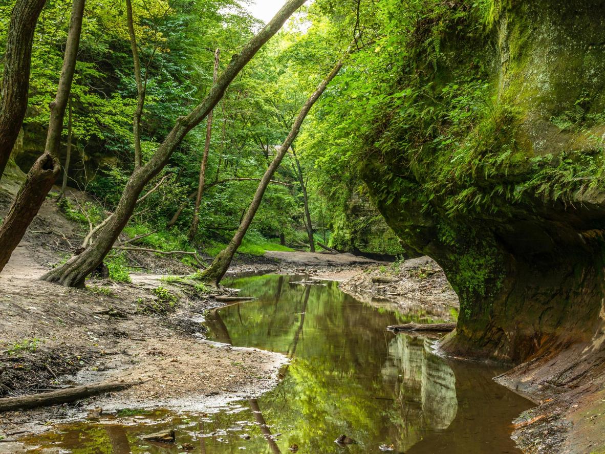 Out of the city and into nature