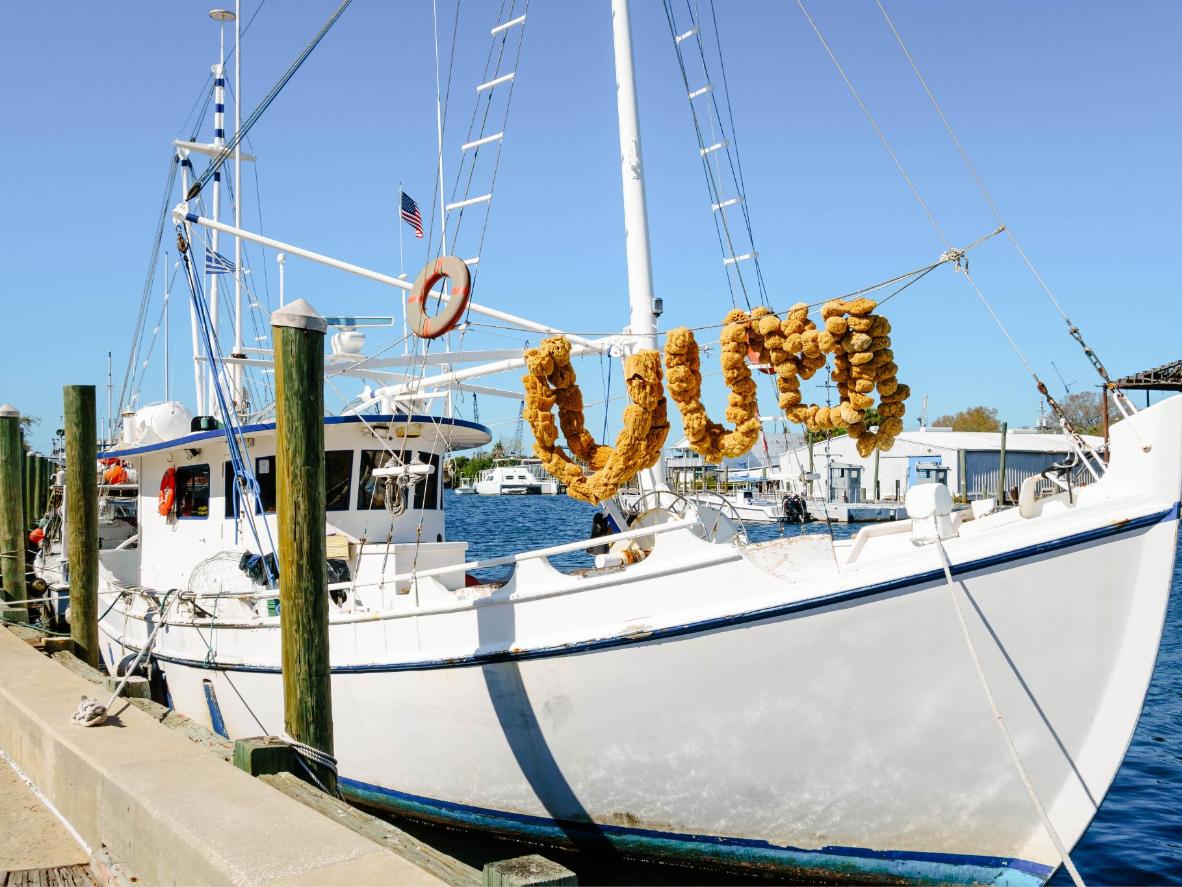 Walk along the docks in Tarpon Springs