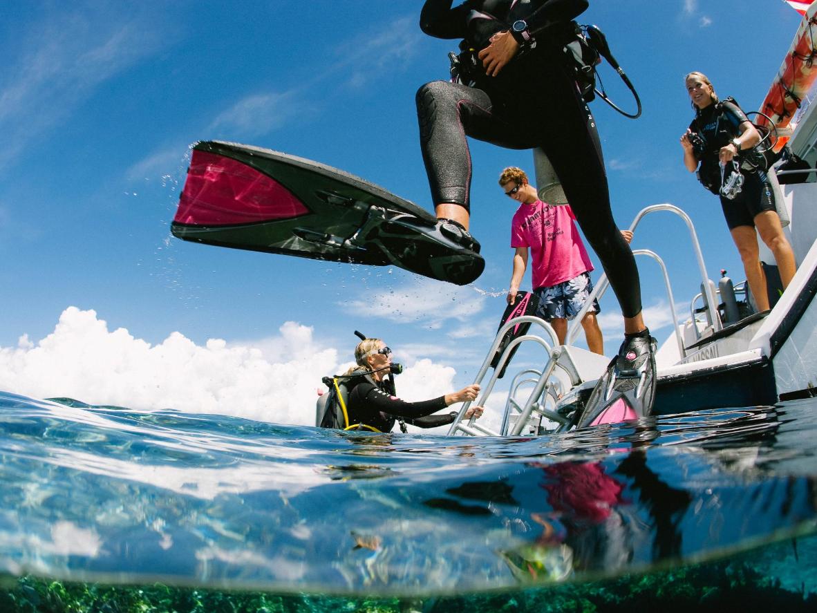 Dive beneath the water to take a closer look