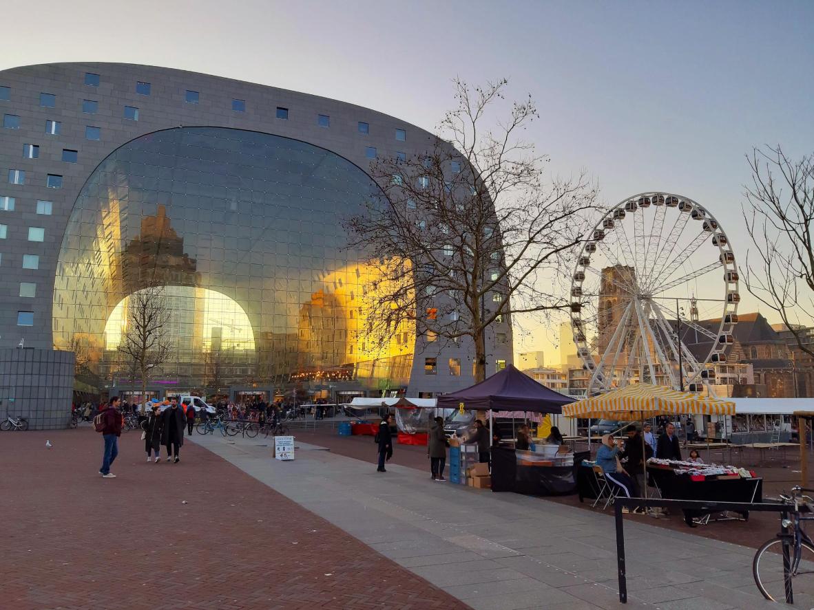 Sunlight streams through Rotterdam’s famous food market