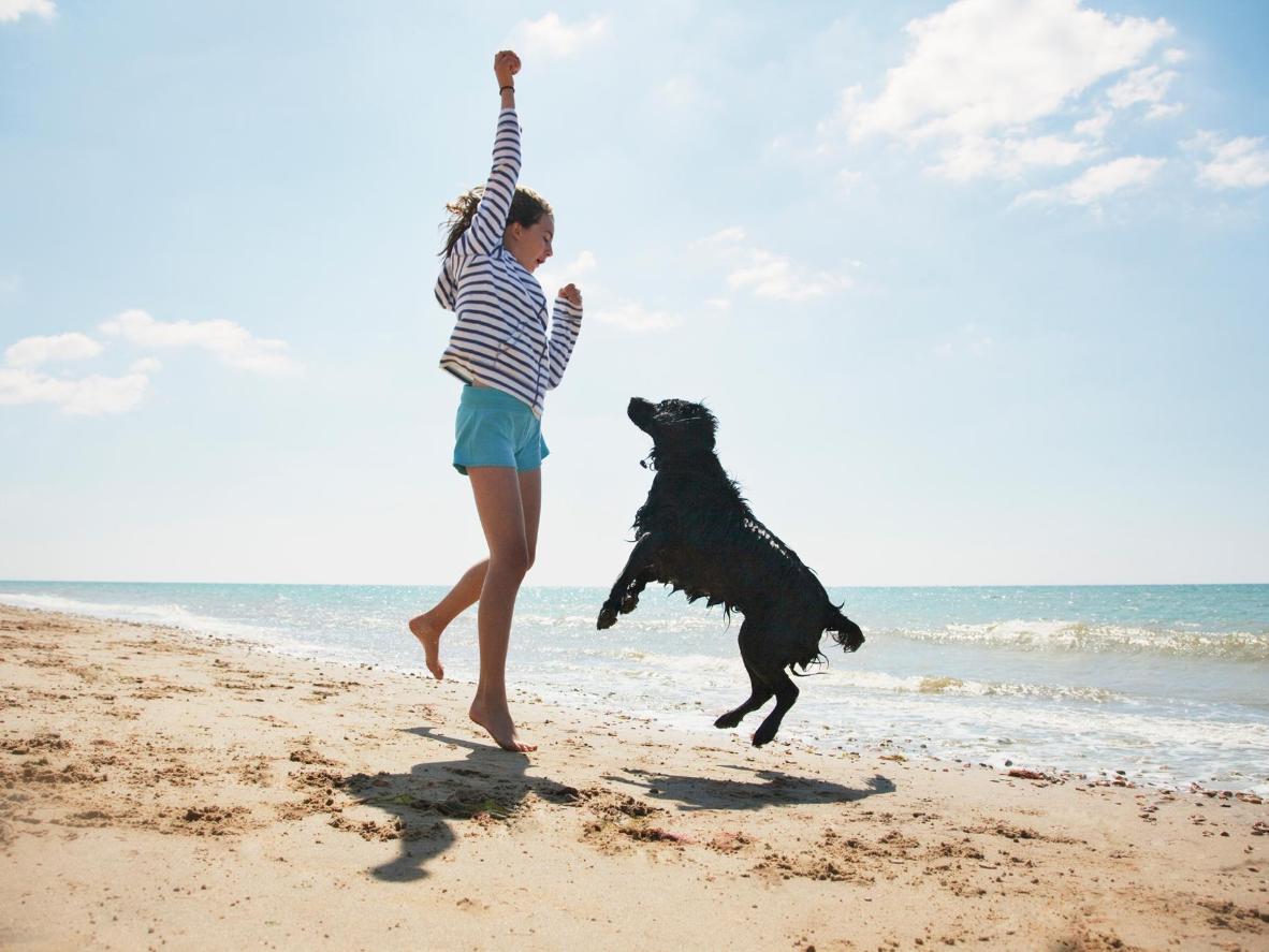 The Best Dog-Friendly Vacations In The US | Booking.com