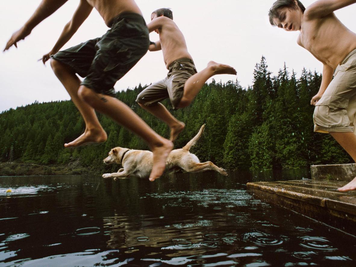 Cool off in a dog-friendly lake on vacation