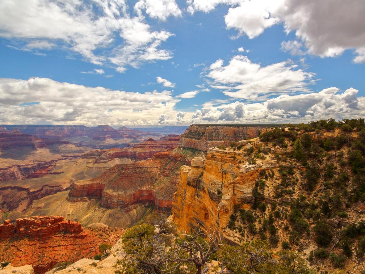 Grand Canyon National Park. Image credit: Rudi Bongers