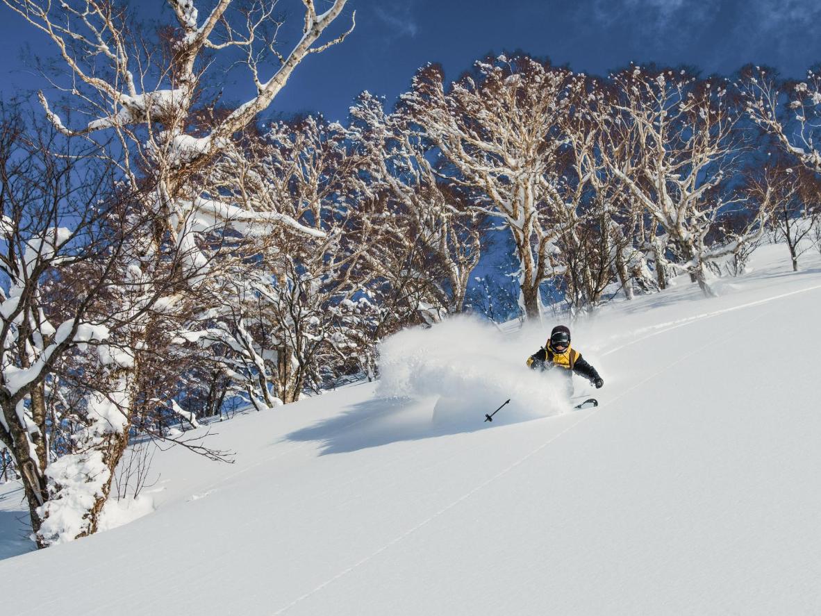 Where to Ski in Japan? 