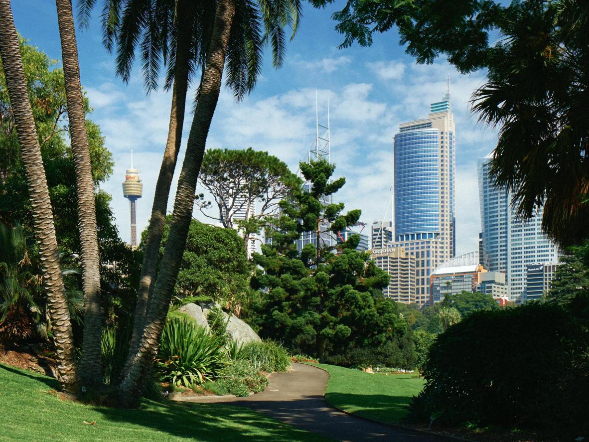 Sydney's urban greening programs