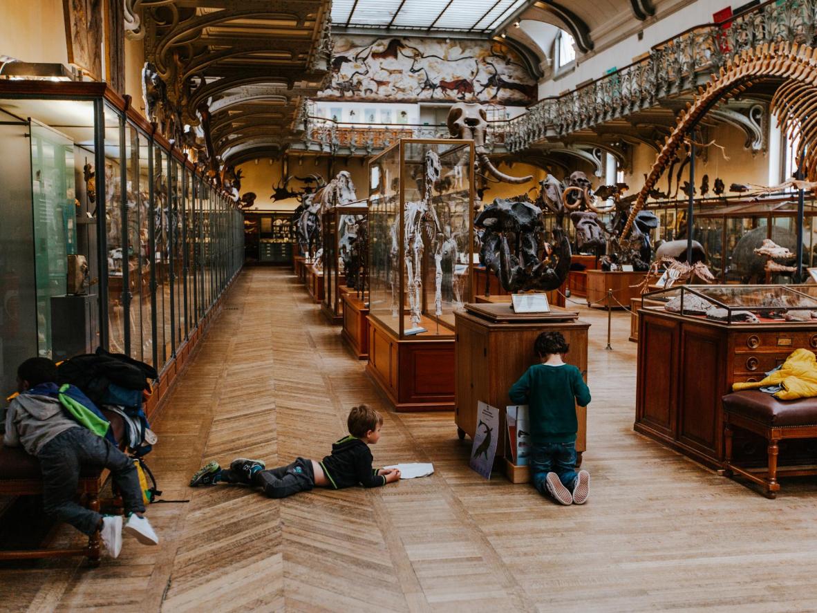Muzeum Historii Naturalnej, Paryż