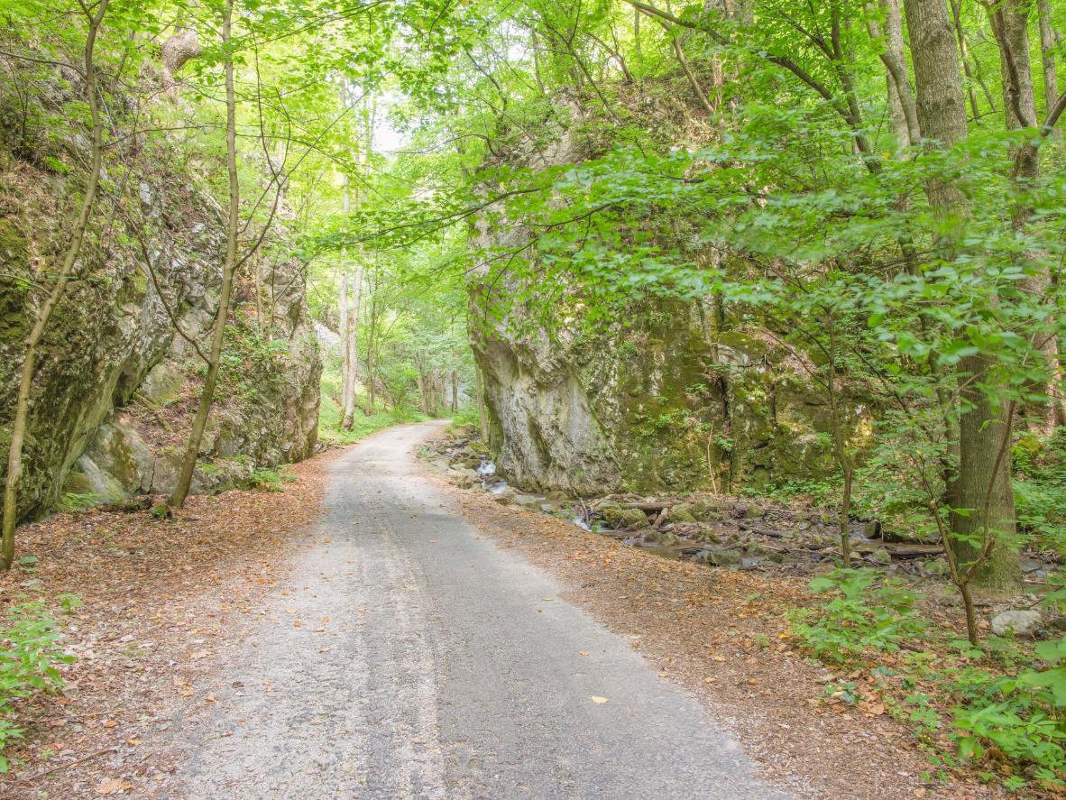 Hike past waterfalls, moss-covered rocks and luminescent green ferns in Slovakia