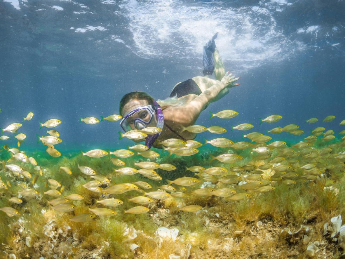 Bring snorkelling equipment to enjoy the clear waters