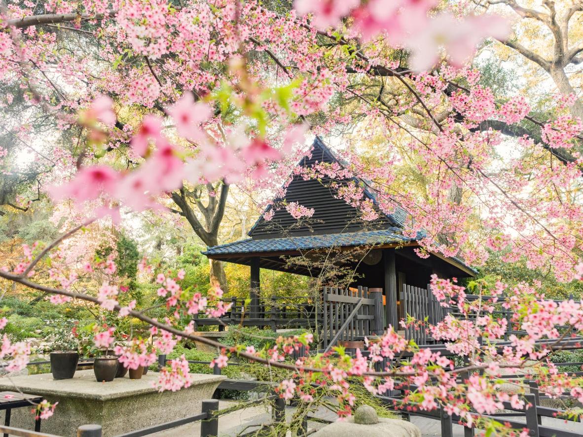 Godetevi una tranquilla passeggiata tra i fiori a breve distanza dal centro di LA