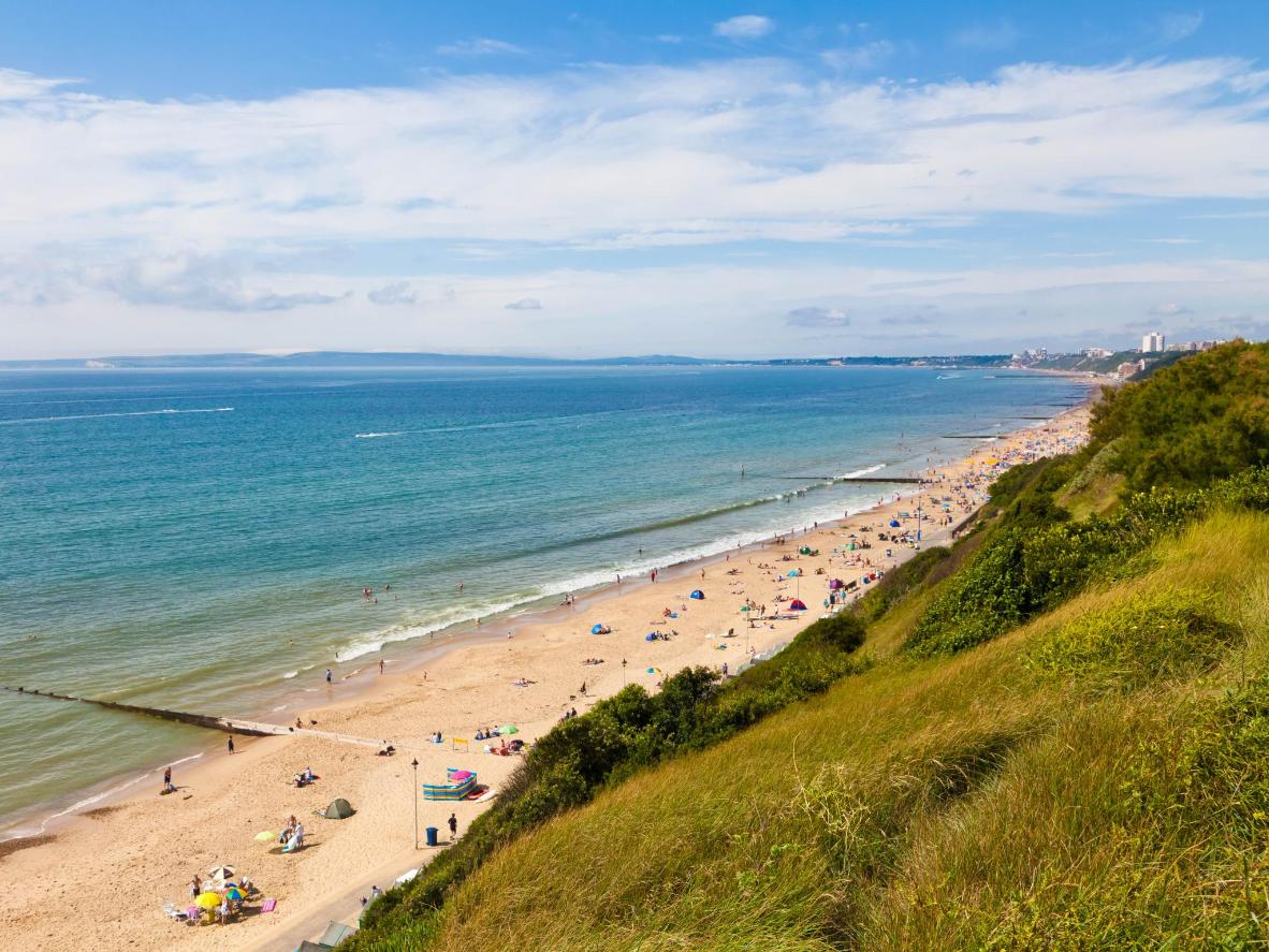 Avoid sandy paws with a walk along the clifftop