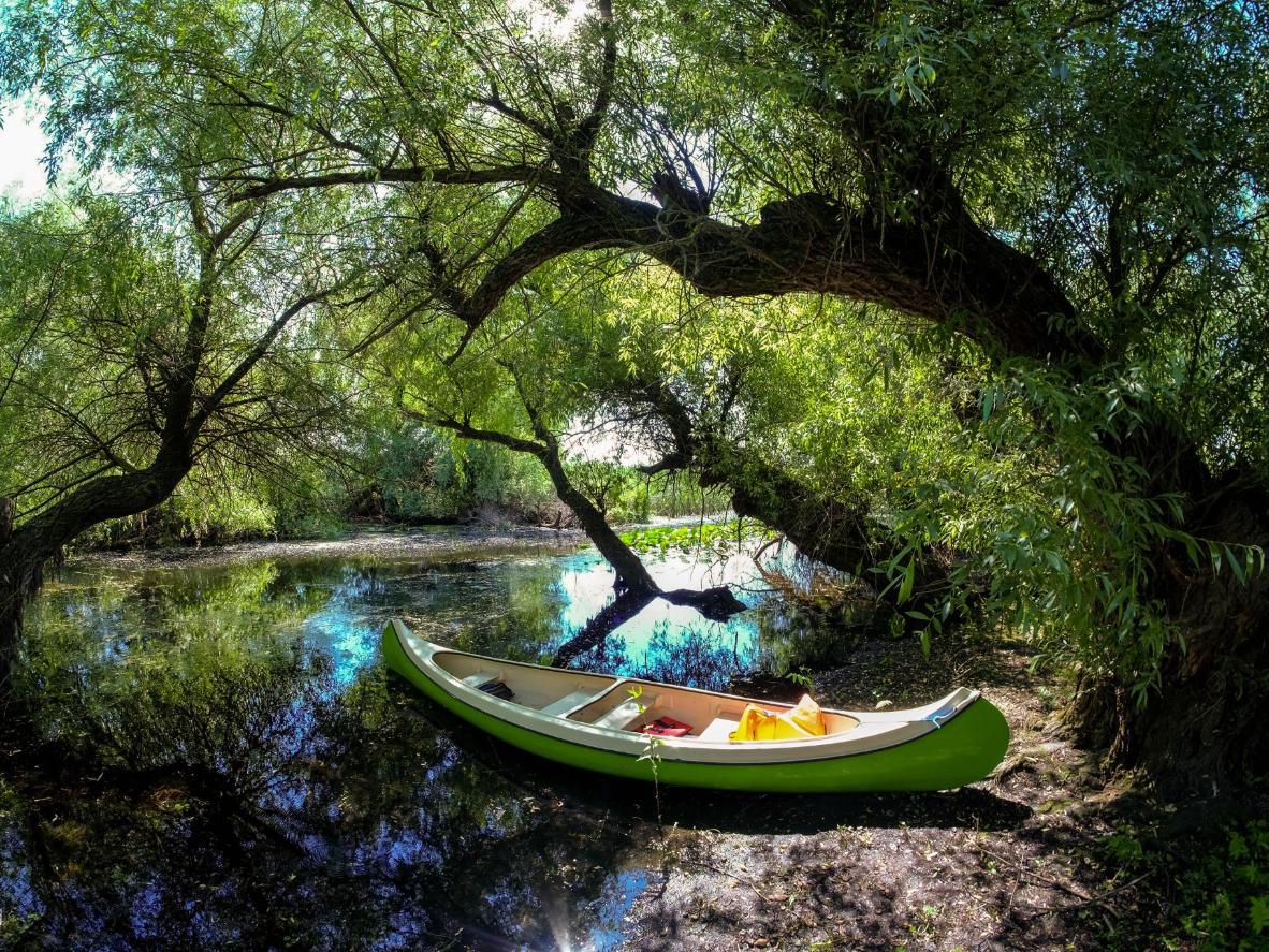 Discover the lush flora and special fauna in the Danube floodplains by canoe