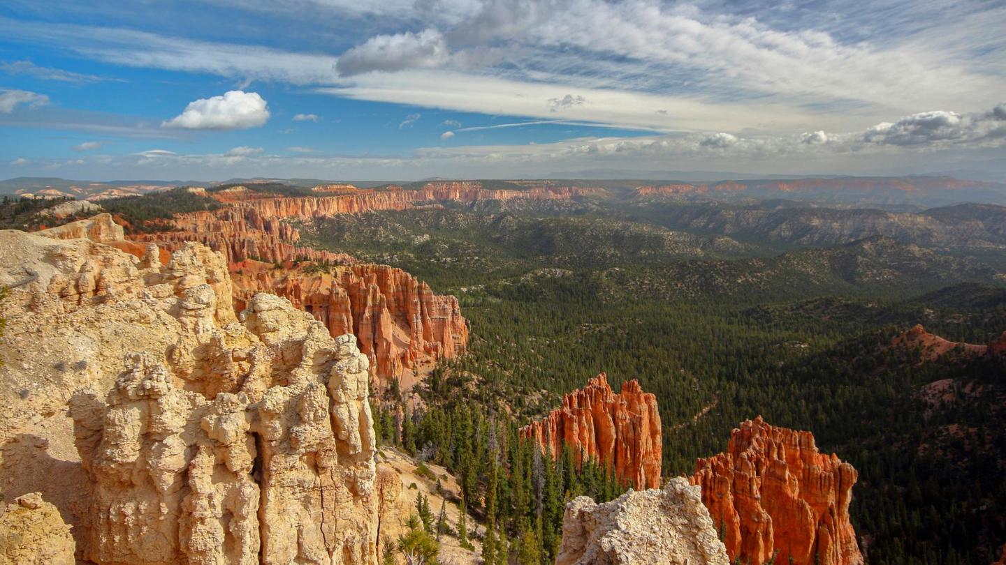 Bryce Canyon National Park. Image credit: Rudi Bongers