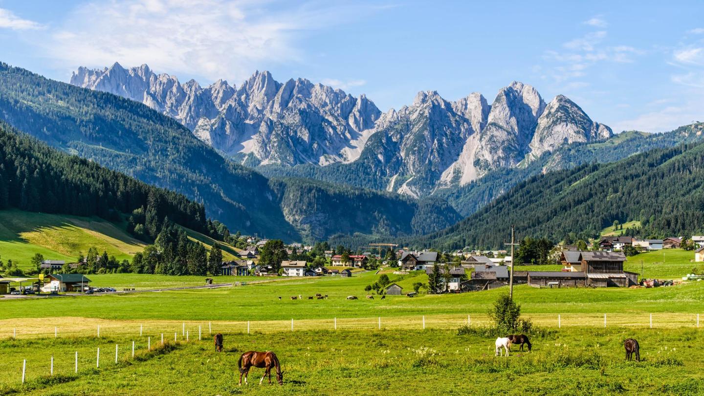 Enjoy the natural and alpine panorama
